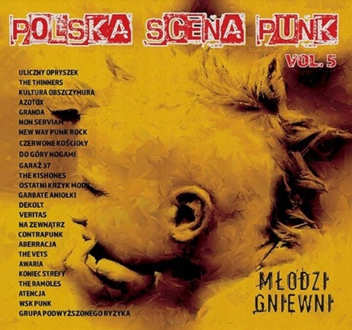 CD POLSKA SCENA PUNK vol.5 SKŁADANKA